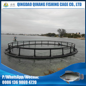 Floating Fish Cage for Tilapia